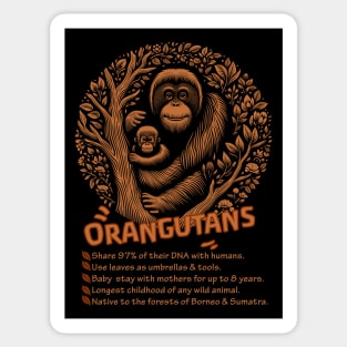 orangutans wildlife indonesia endangered species tshirt merch Sticker